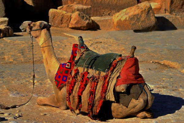 Creation of Road to Morocco: Step 4